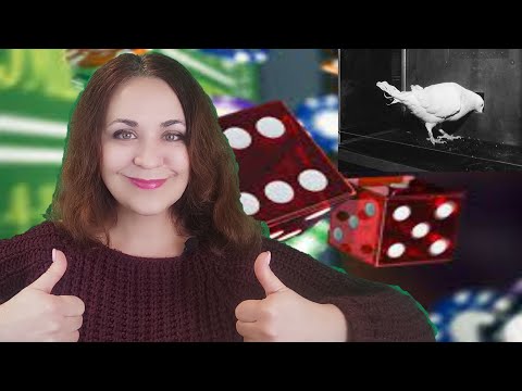 Видео: Азарт и птичьи ритуалы. Лекция 11. Теневые чувства