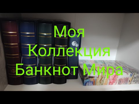 Видео: Моя Коллекция Банкнот Мира За 4 Года