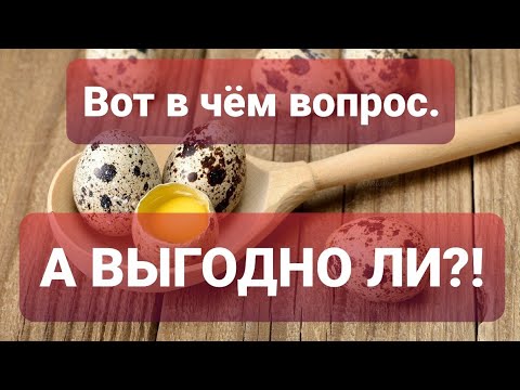 Видео: "Сибирский Фермер" Перепеловодство- выгодно ли?🤨🤔