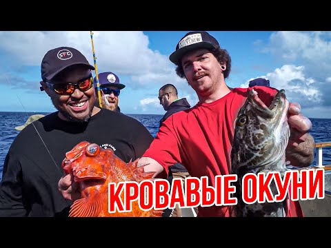 Видео: Идут ОДНА ЗА ДРУГОЙ! Красно-КРОВАВЫЕ Окуни! #спортивнаярыбалка