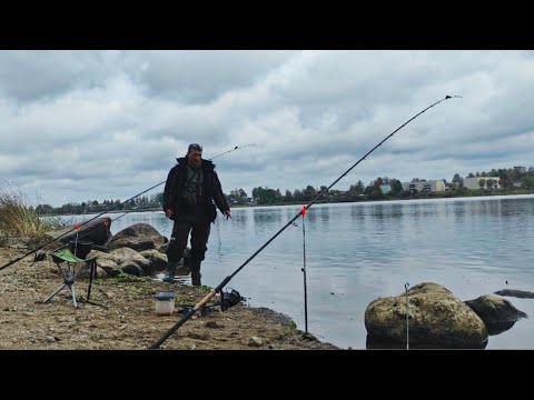Видео: Утренний выход здоровенных Лещей. Подловил лещей на фидер спозаранку. 