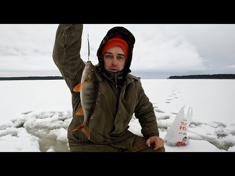 Видео: Рыбалка на озере Сямозеро в Карелии!