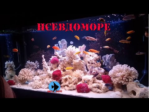 Видео: Псевдоморе.