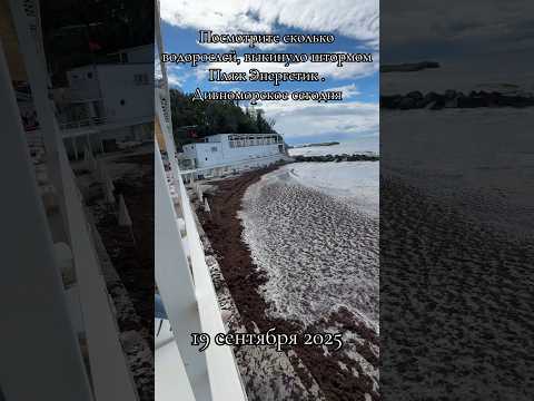 Видео: Дивноморское сегодня. ШОК. Такого я еще не видела #море #шторм #дивноморское