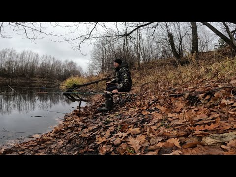 Видео: РЫБАЛКА НА ПОПЛАВОЧНУЮ УДОЧКУ В НОЯБРЕ