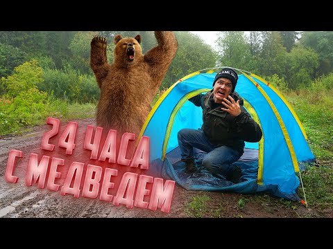 Видео: 24 часа выживаем в лесу, где живут медведи!