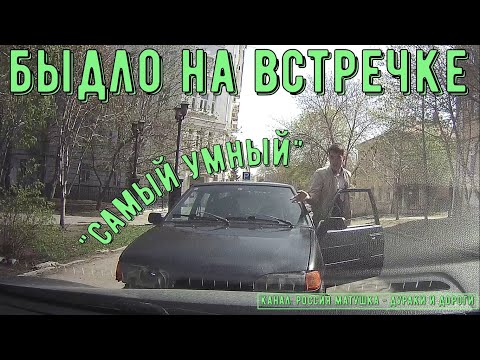 Видео: Быдло на встречке #154! Подборка на видеорегистратор!