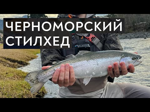 Видео: Ловим черноморского стилхеда на спиннинг и нахлыст