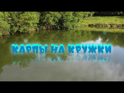 Видео: Рыбалка на карпа на кружки, с ночевкой!!! Карпы не дали расслабиться, пришлось за ними погоняться!!!