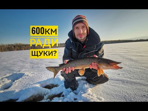 Видео: Рыбалка в тайге на новый год