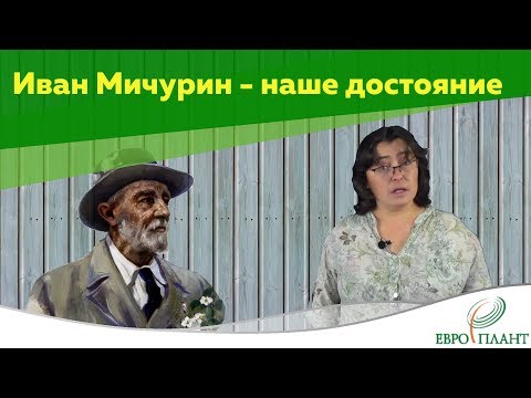 Видео: Иван Мичурин – пионер северного садоводства