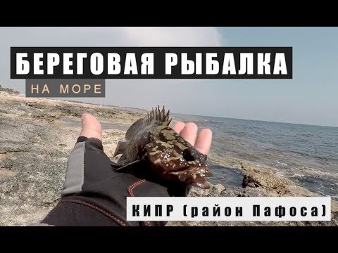 Видео: Береговая рыбалка на Кипре [Fishing in Cyprus]