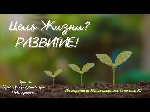 Видео: Урок 12. Цель Жизни? РАЗВИТИЕ!