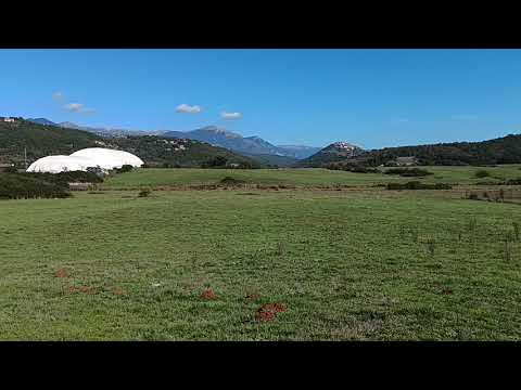 Видео: Муж ни как не идет на поправку...