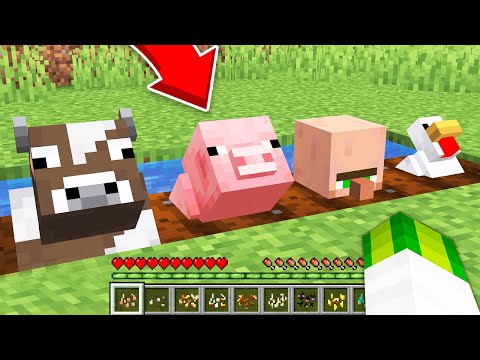 Видео: МОБИ МОЖУТЬ РОСТИ НА ГОРОДІ У МАЙНКРАФТІ