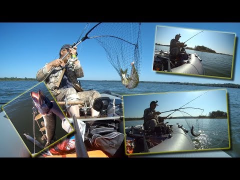 Видео: Мелководный троллинг для новичков. Поклёвки, вываживания, приспособления и воблеры