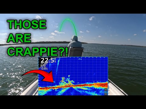 Видео: КРАППИ НА ДНЕ?! Техасский ловля краппи на озере Бенбрук с помощью фирменных блесн от Кая в конце ...