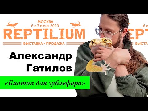 Видео: REPTILIUM 2020. Александр Гатилов «Биотоп для эублефара»