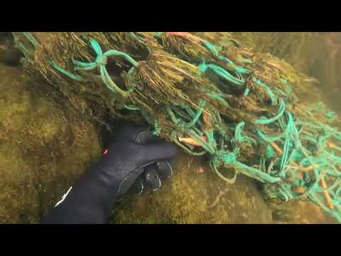 Видео: ПОДВОДНЫЙ ПОИСК В СЕВЕРНОЙ РЕКЕ / UNDERWATER SEARCH IN THE RIVER