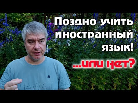 Видео: До какого возраста можно учить иностранный язык?