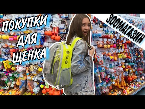 Видео: Готовлюсь к появлению щенка дома |первая покупка для щенка🐔😂
