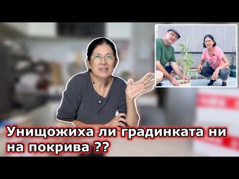 Видео: Унищожиха ли градинката ни на покрива ? 