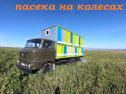 Видео: Пасека на колесах.  Пчелопавильон. Пасека в горах. Натуральный мед