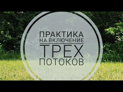 Видео: Практика на природе. Включаем три потока 🌳🌬️❤️