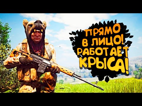 Видео: ПРЯМО В ЛИЦО! - КРЫСЫ УЖЕ ТУТ! - ВЫЖИВАНИЕ В SCUM!