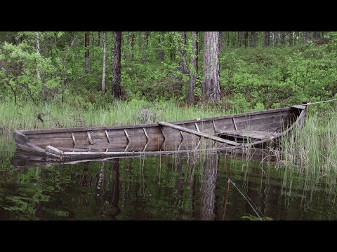 Видео: К границе Финляндии. Озеро Верхнее Куйто. Часть 2