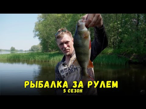 Видео: Рыбалка за рулем 5 // Выпуск 12