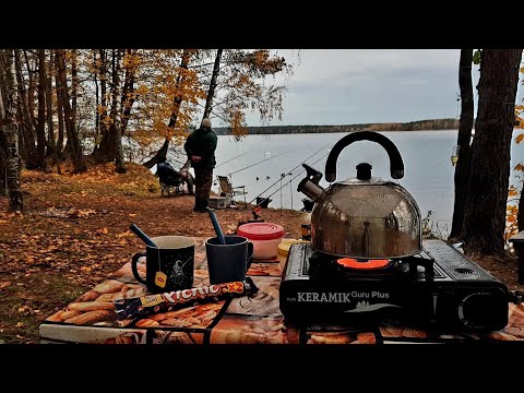 Видео: Золотая Осень! Последние Теплые Дни! Рыбалка с Ночевкой на Чигиринском Водохранилище. Лещ на Фидер.