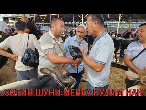 Видео: 9 октября 2025 г УЗБЕКИСТАН АСАКА ПАЙШАНБА МОЛ БОЗОРИ КМАТ БУЛШТИ БОЗЛАДИ БУГУН ДУСЛАР 