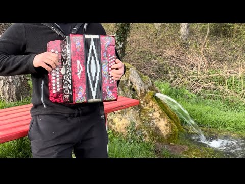 Видео: как в деревне нас мама встречает #гармонь #играйгармонь #чайка  #гармонист