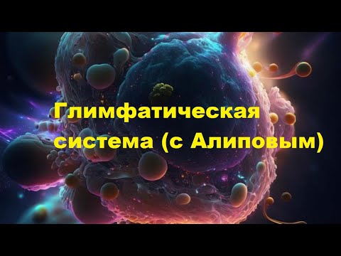 Видео: Глимфатическая система с Алиповым