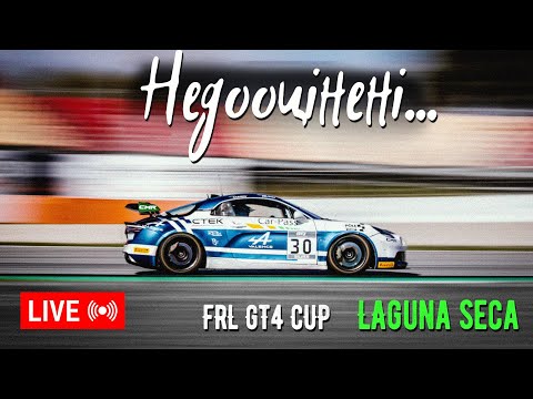 Видео: GT4 Cup на Renault! Маємо +37 кг)))