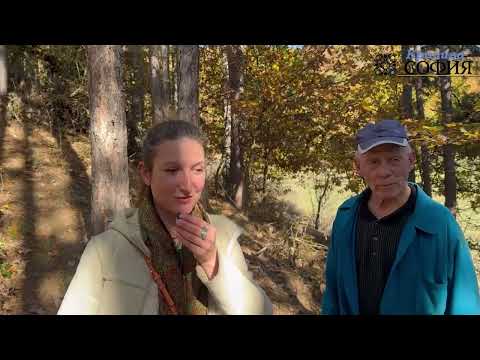 Видео: Село Редина на бунт! Слънчев парк за сметка на гората и водата