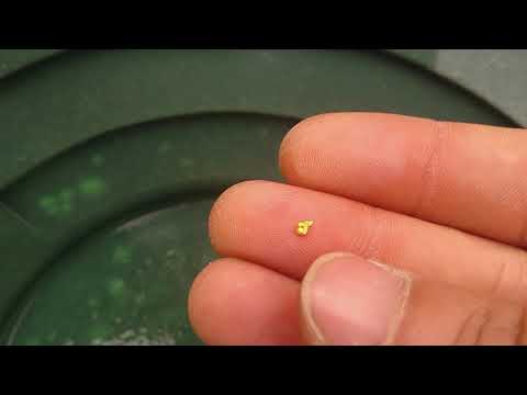 Видео: Самородно злато от речни капани 10/River trap for gold 10