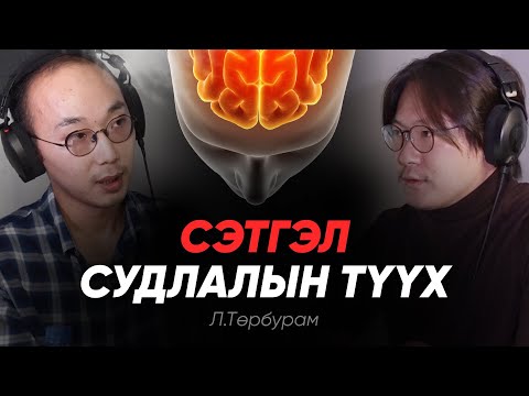 Видео: Philosophy Podcast - Ep.39, Сэтгэл судлалын түүхийн жимээр - Л.Төрбурам
