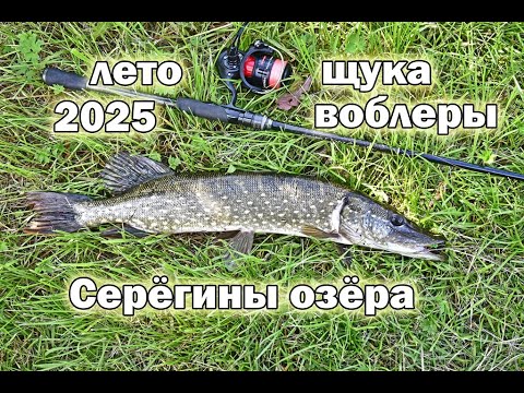 Видео: Летный выезд на любимый пруд