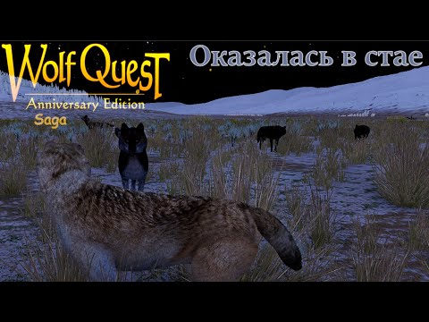 Видео: Первый взгляд на продолжение WolfQuest: Anniversary Edition Saga №1