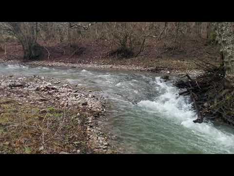 Видео: Река Альма🏞