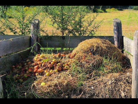 Видео: ПАН99 Компост или  Биогумус ?
