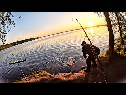 Видео: На Озере в котором не мерено рыбы! Рыбалка огонь!