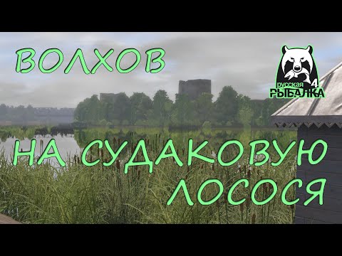 Видео: Русская рыбалка 4. Волхов. Фарм. Спиннинг. Лосось атлантический. Колебалки.