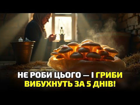 Видео: Гриби ростуть САМІ! Але зроби це неправильно — і все пропало!
