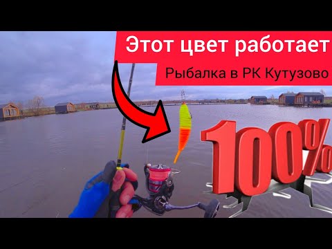 Видео: ЭТОТ ЦВЕТ РАБОТАЕТ ВСЕГДА!!! ЛОВЛЯ ФОРЕЛИ НА АКТИВ. РЫБАЛКА ОСЕНЬЮ В РК КУТУЗОВО.