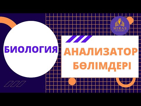 Видео: Биология| Анализатор бөлімдері - сезім мүшелері| ҰБТ сабақтары