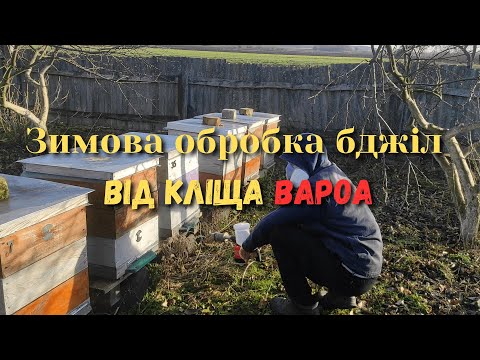 Видео: Зимова обробка бджіл від кліща Вароа. Чи можна обробляти бджолині родини від кліща взимку?