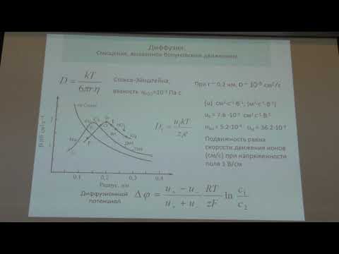 Видео: Рубин А.Б. - Биофизика. Часть 1 - 9. Мембранный транспорт в клеточных процессах, ч. 1